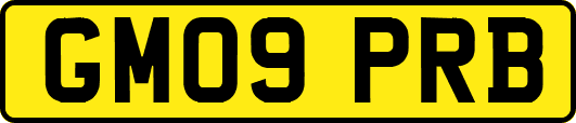 GM09PRB
