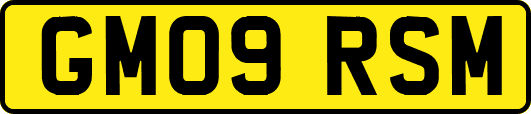 GM09RSM