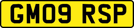 GM09RSP