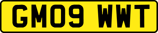 GM09WWT