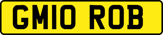 GM10ROB