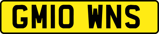 GM10WNS