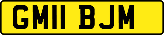 GM11BJM