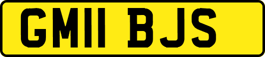 GM11BJS
