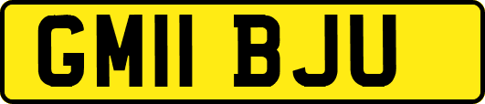 GM11BJU