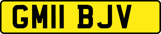 GM11BJV