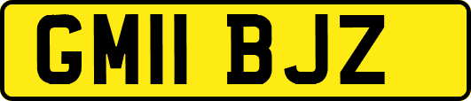 GM11BJZ