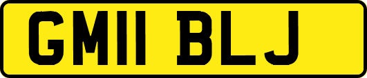 GM11BLJ