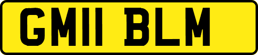 GM11BLM