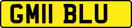 GM11BLU