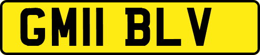 GM11BLV