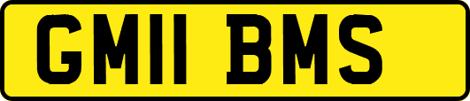 GM11BMS
