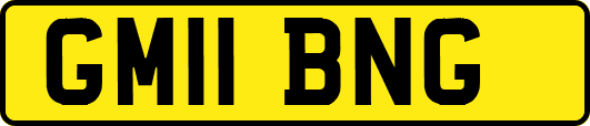 GM11BNG