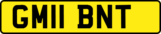 GM11BNT