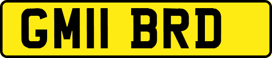 GM11BRD
