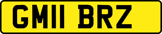 GM11BRZ