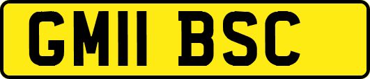 GM11BSC