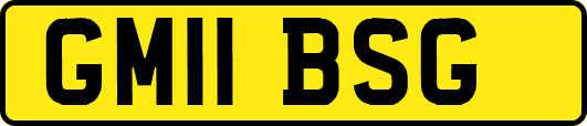 GM11BSG