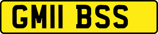 GM11BSS