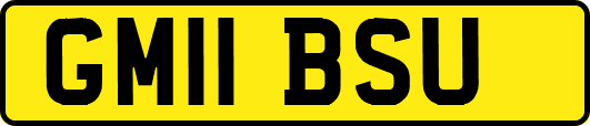 GM11BSU
