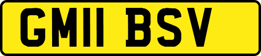 GM11BSV
