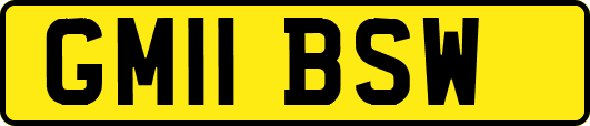 GM11BSW