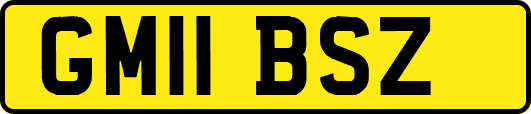 GM11BSZ
