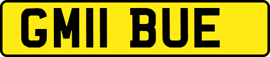 GM11BUE