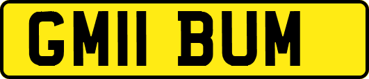 GM11BUM