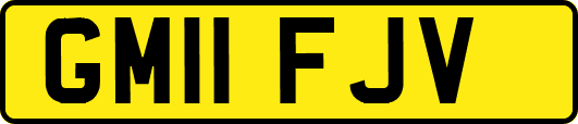 GM11FJV