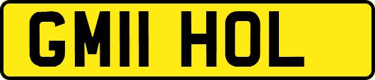 GM11HOL