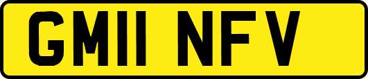 GM11NFV