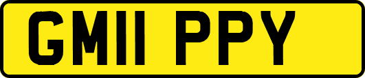 GM11PPY