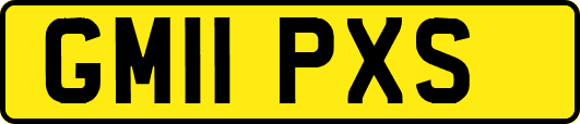 GM11PXS