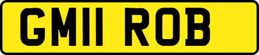 GM11ROB