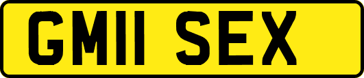 GM11SEX