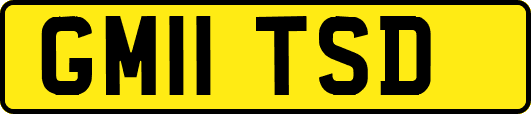GM11TSD