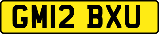 GM12BXU