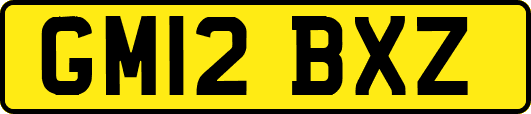 GM12BXZ