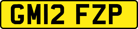 GM12FZP