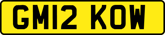 GM12KOW