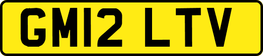 GM12LTV