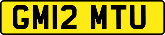 GM12MTU