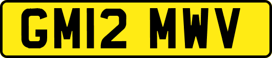GM12MWV
