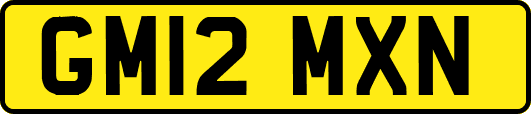 GM12MXN