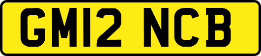 GM12NCB