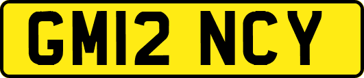 GM12NCY