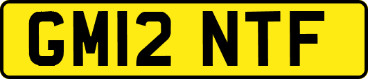 GM12NTF