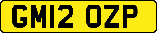 GM12OZP