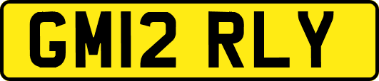 GM12RLY